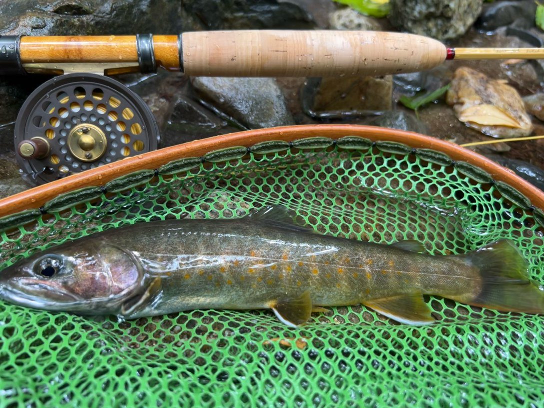 arec1106's tweet photo. Such an unusual day
綺麗な小型の多い沢で珍しく27、29
#flyfishing #smallstream #catskillfly #bamboorod #retrorodandreel #iwanatrout #釣り #ヤマトイワナ #フライ回収棒 https://t.co/jXDnlMehiA