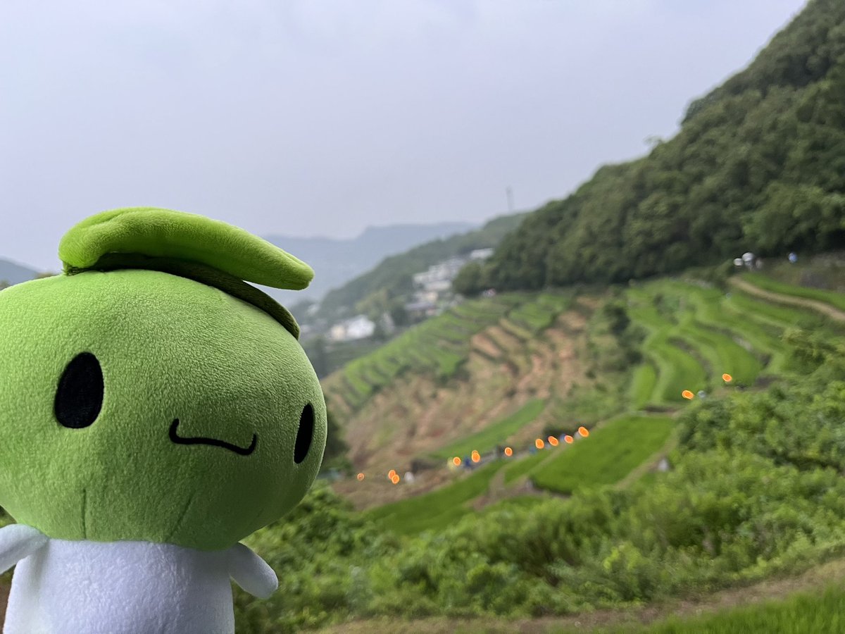 olive_shimachan's tweet photo. 今日は雨の小豆島。
脳���で虫送り！！
#オリーブしまちゃん
#小豆島 #shodoshima https://t.co/8S0WwUO3Kz