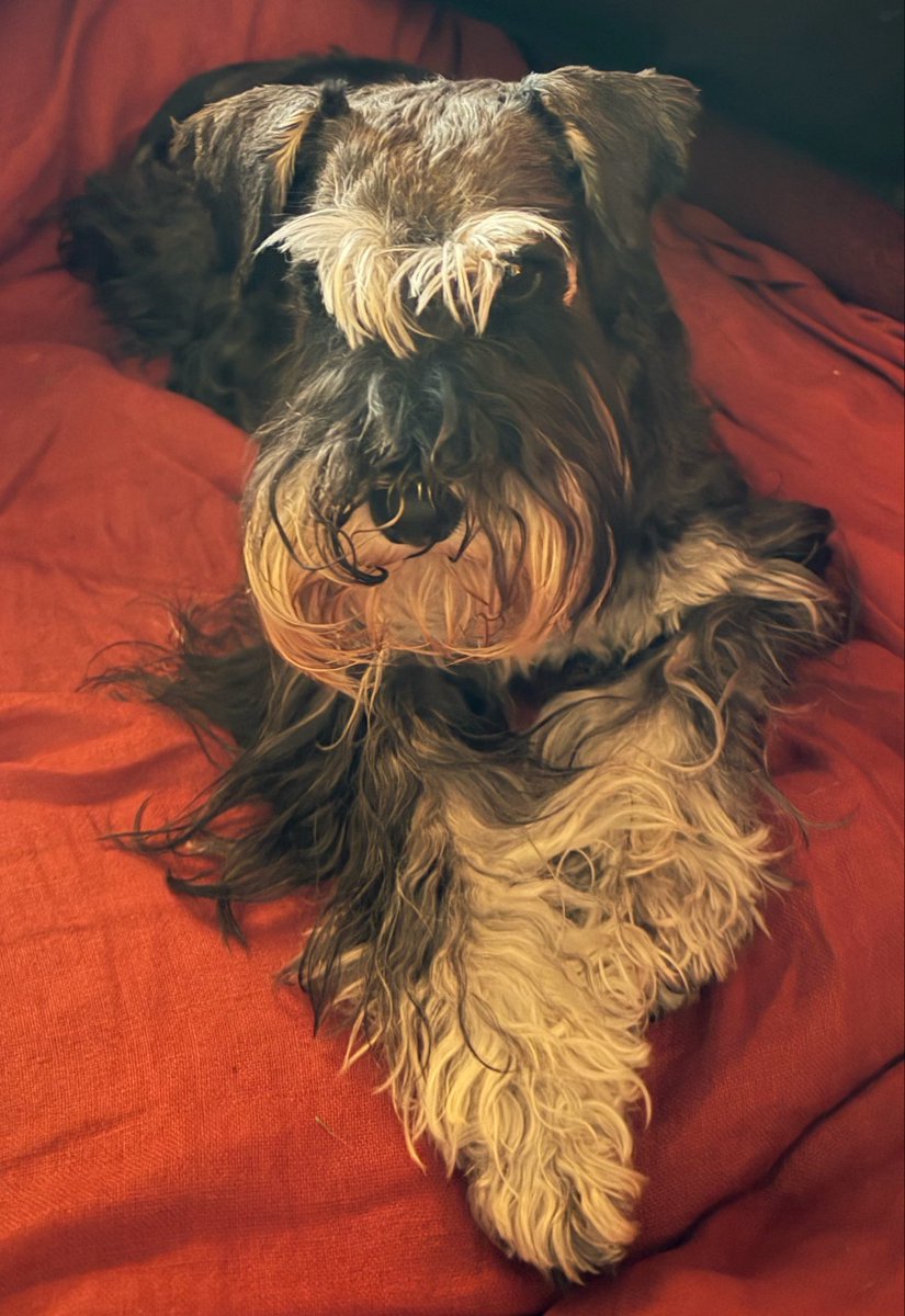 Siguiendo2's tweet photo. Simplemente, bella! 😊 https://t.co/vFZjW5jOc6