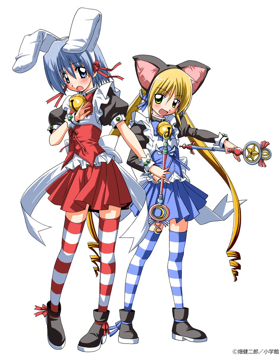 tonikakuhayate's tweet photo. https://t.co/wQjwTbB25O