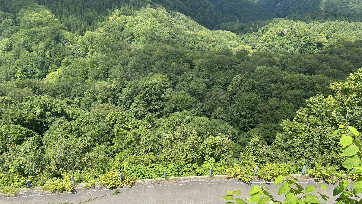 AIN_NO_KEN's tweet photo. 黒石行く途中
城ヶ倉大橋
久々に公衆電話見たw
天気良かったけど山は凄い雲
帰りは違うルートで🚗💨
観光の人も居て写真撮ってた
さすがにもう雪はなかった https://t.co/fMdGQaVbdc
