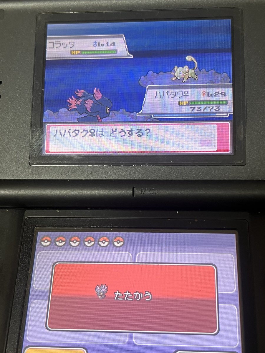 JdL3v5's tweet photo. 待て待て、コラッタも光った笑
ソウルシルバーだぜ？笑
最近のポケモンびゃないんだから笑 https://t.co/p6kLPT9o2E