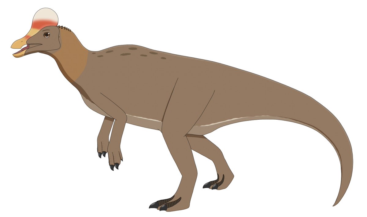 FraeRaptor's tweet photo. コリトサウルス（エアルフ種）の立ち絵
体色の参考：オグロシギ、クルマサカオウム https://t.co/nPRFLW9IFN