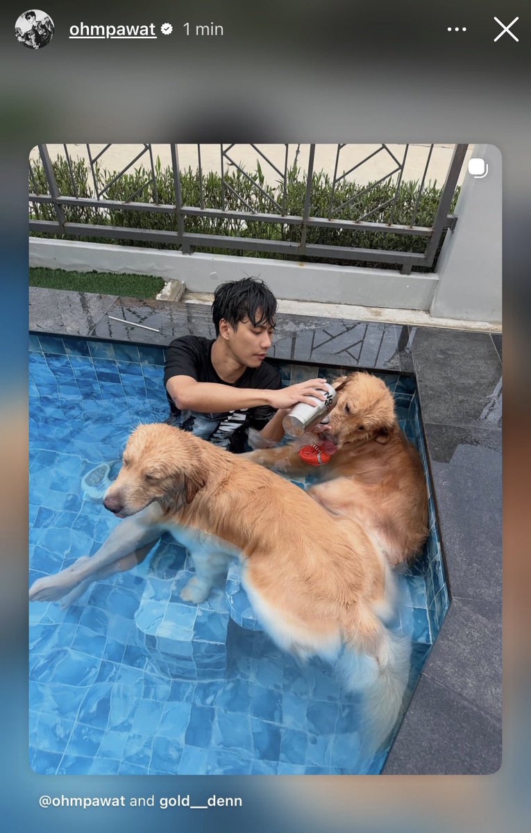 karycalin37's tweet photo. Day Off 🛑❌
Enjoy your house, Gold, Denn, and yourself
🧡✨
Love U 
#ohmpawat ©️ IG https://t.co/8jEzAHbW0m