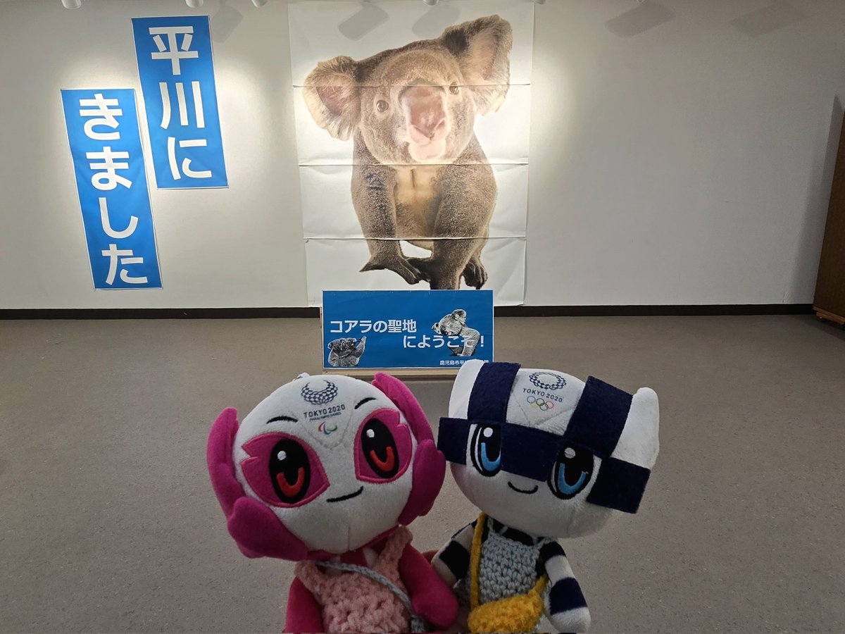 コアラさんかわいいね