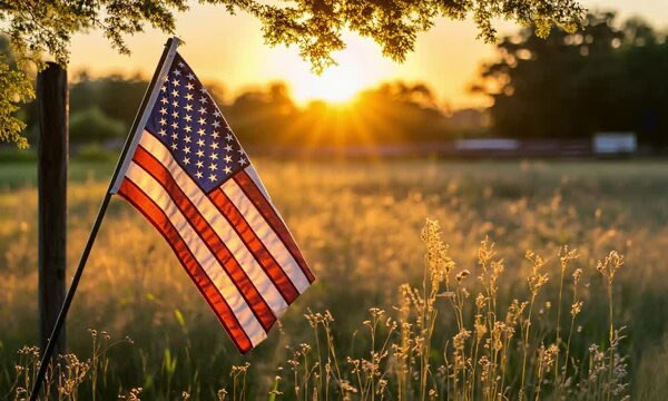 history_under's tweet photo. Pride. https://t.co/3qZr8FJFEC