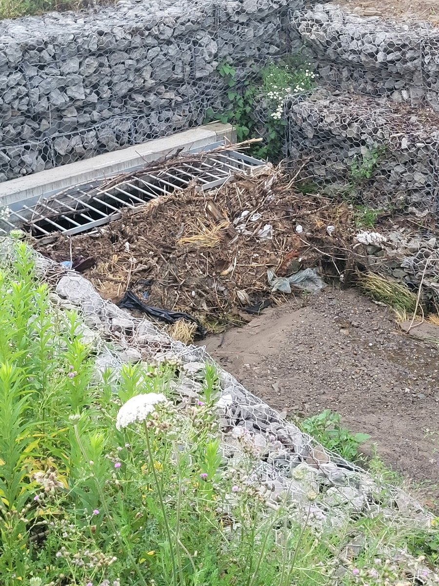 natewize's tweet photo. “Investing your dollars into proactive flood projects” - @carolynhparrish  @DaskoWard1  Can we please get a crew out to clean this before the heavy rain today? Tonolli / Queensway spill area. https://t.co/bIOQ2AiXV0