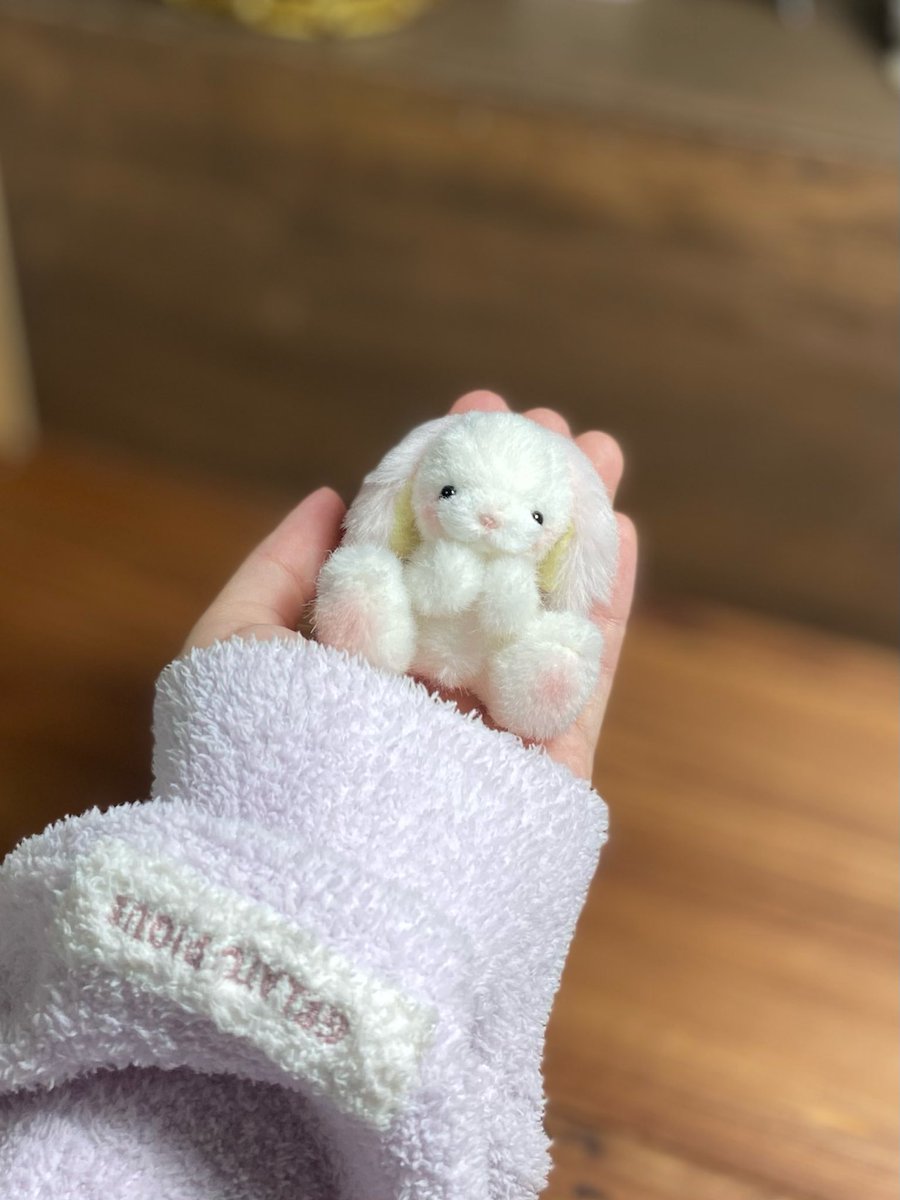 あにゃ。 (@love_sweets0308) / Posts / X