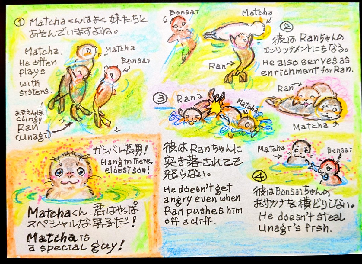 jgcikata's tweet photo. 情報過多スミマセン!Matcha君を見て安らごう彼には不思議で優しい魅力が詰まってるのですの件。
Sorry for the information overload! Relax and unwind with Matcha—he’s full of a mysterious, gentle charm.
#アザラシ幼稚園
#wecwaddenzee #fanart https://t.co/9iIKLmaH4t