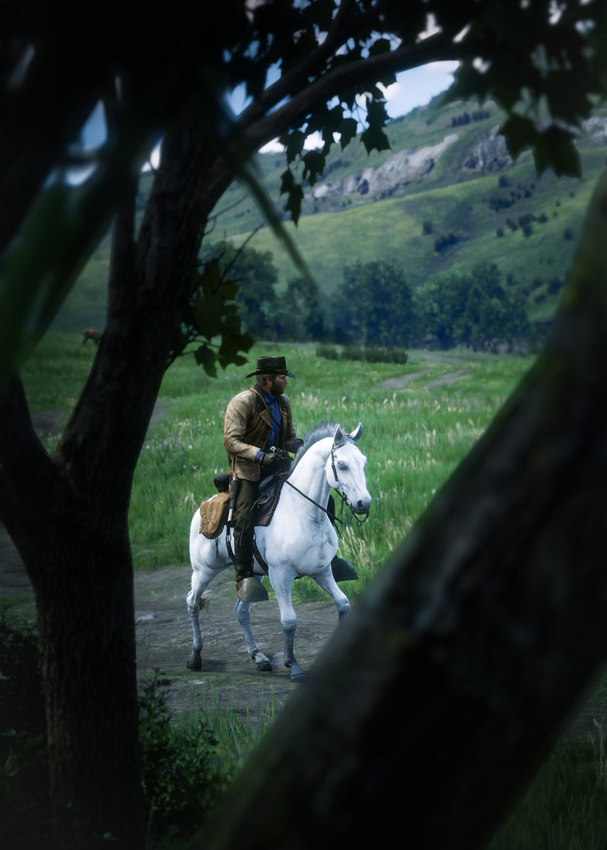 capt_byAllister's tweet photo. Arthur Morgan shots!

#RedDeadRedemption2 #VirtualPhotography #VGPUnite https://t.co/VzVOL9ViKp
