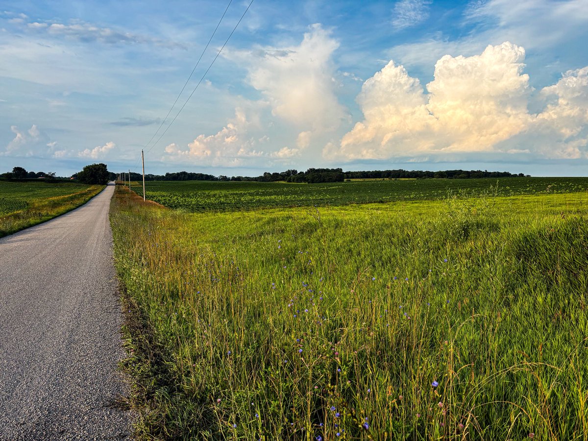NoahSabich's tweet photo. Let the freedom speak for itself #Illinois #Clouds #Backroads #Farm #July https://t.co/4vn6zrdMsL