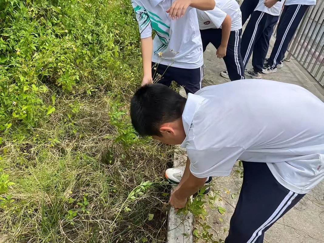 BradlySmeje4jo's tweet photo. [Exciting news! Our campus environmental club is holding a book swap u0026 tree-planting activity this Saturday (9 AM-12 PM) at the central lawn. Bring your pre-loved books, take new ones, and help us green the campus! Free for all students—see you there!]， https://t.co/iIhZQXXury