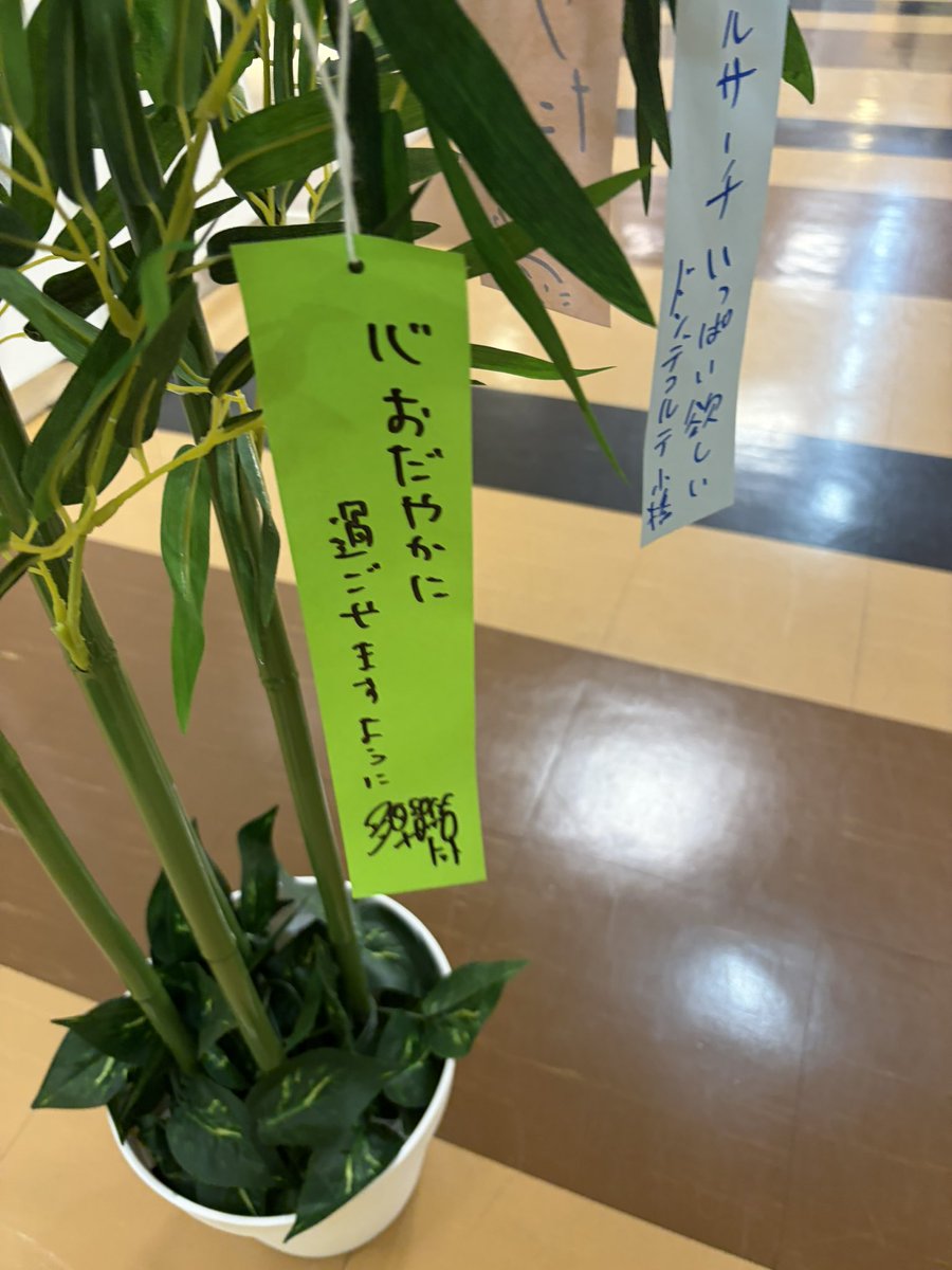 siopig87's tweet photo. 大宮遊びに行ったついでにトット短冊見てきました‼️カッコよすぎる短冊にヒィ‼️‼️という感じでした‼️‼️心穏やかに‼️‼️ https://t.co/rE8ADhyaog
