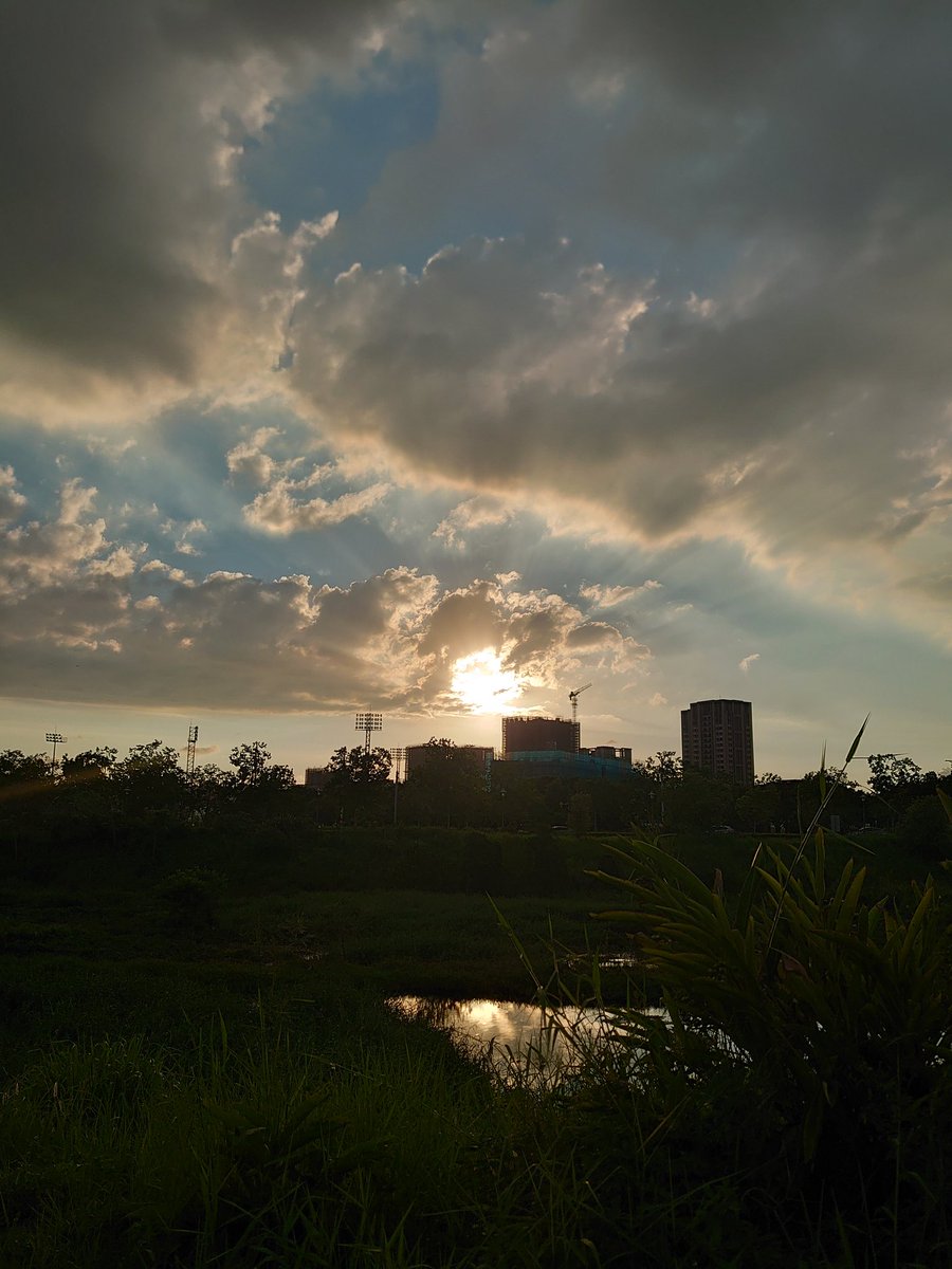 kuchi_ya's tweet photo. https://t.co/8qGwzG92Dz