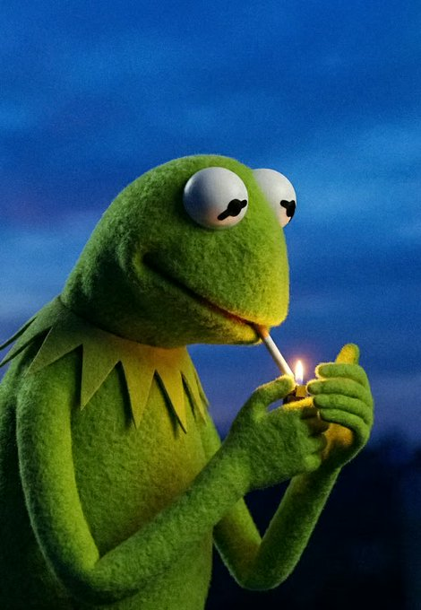 TendersAlt's tweet photo. What a good time to have a good bag of $Kermit rn. 

Many good things coming .. 

It's painfull to be that bullish tbh https://t.co/5lVEJUasFT