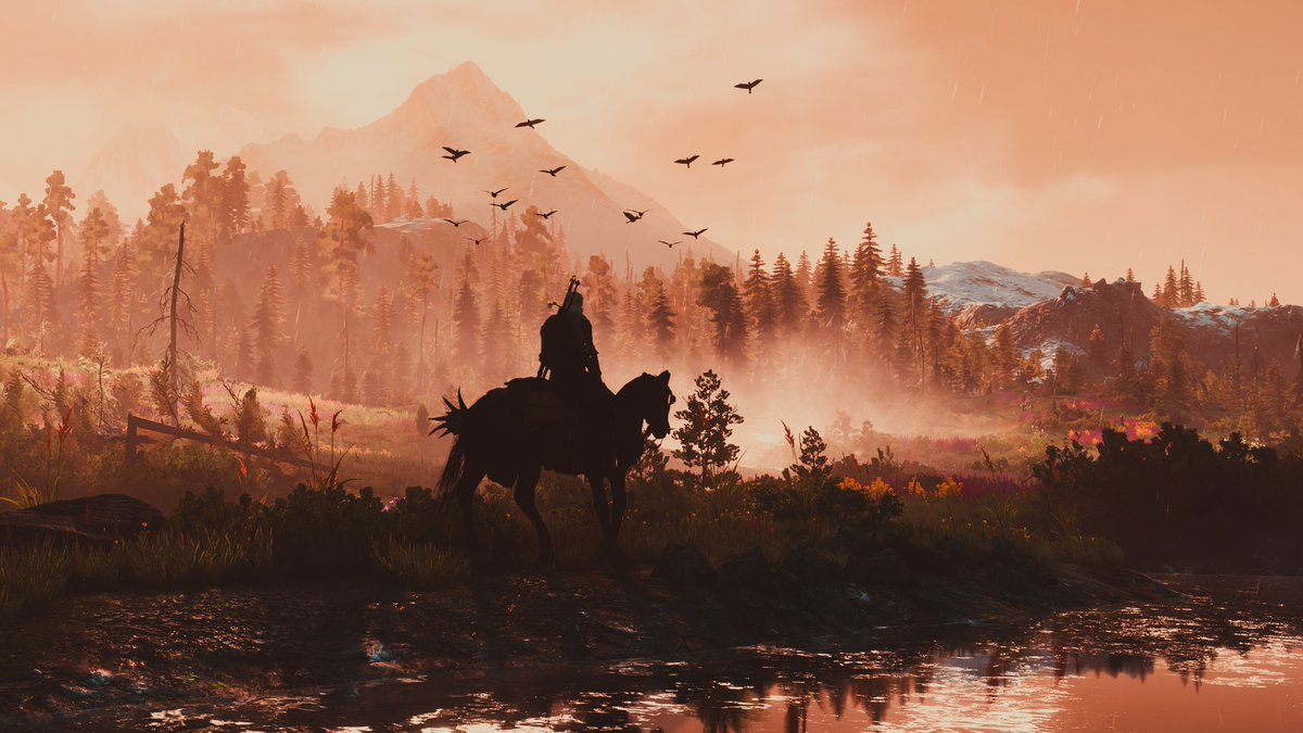 discophotomode's tweet photo. The Witcher 3: Wild Hunt https://t.co/Zkfx4Gb49Y