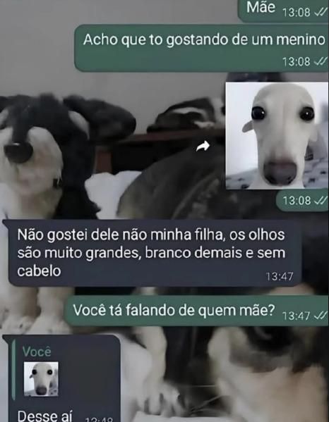 memes_horriveis's tweet photo. https://t.co/DZA3p2u5CD