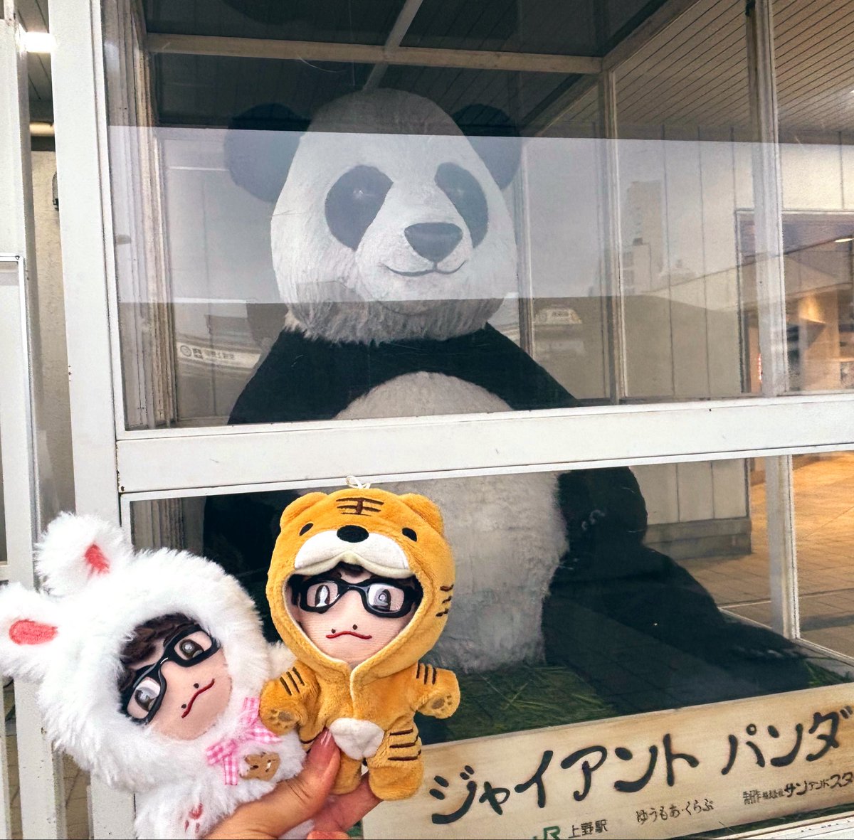torashippo229's tweet photo. 推し活の空き時間に時々美術館に行くようになった鑑賞初心者🔰ですが、素敵な時間を過ごせるので嬉しいです☺️
喫茶室ルノアールでお茶してから、ルノワールの『カフェにて』を鑑賞してウフフしました☺️☕️💕
(ウインナー珈琲とザッハトルテを頼むはずが、ついコーヒーフロートと激安モーニングに😂) https://t.co/qZPr7uo2dj