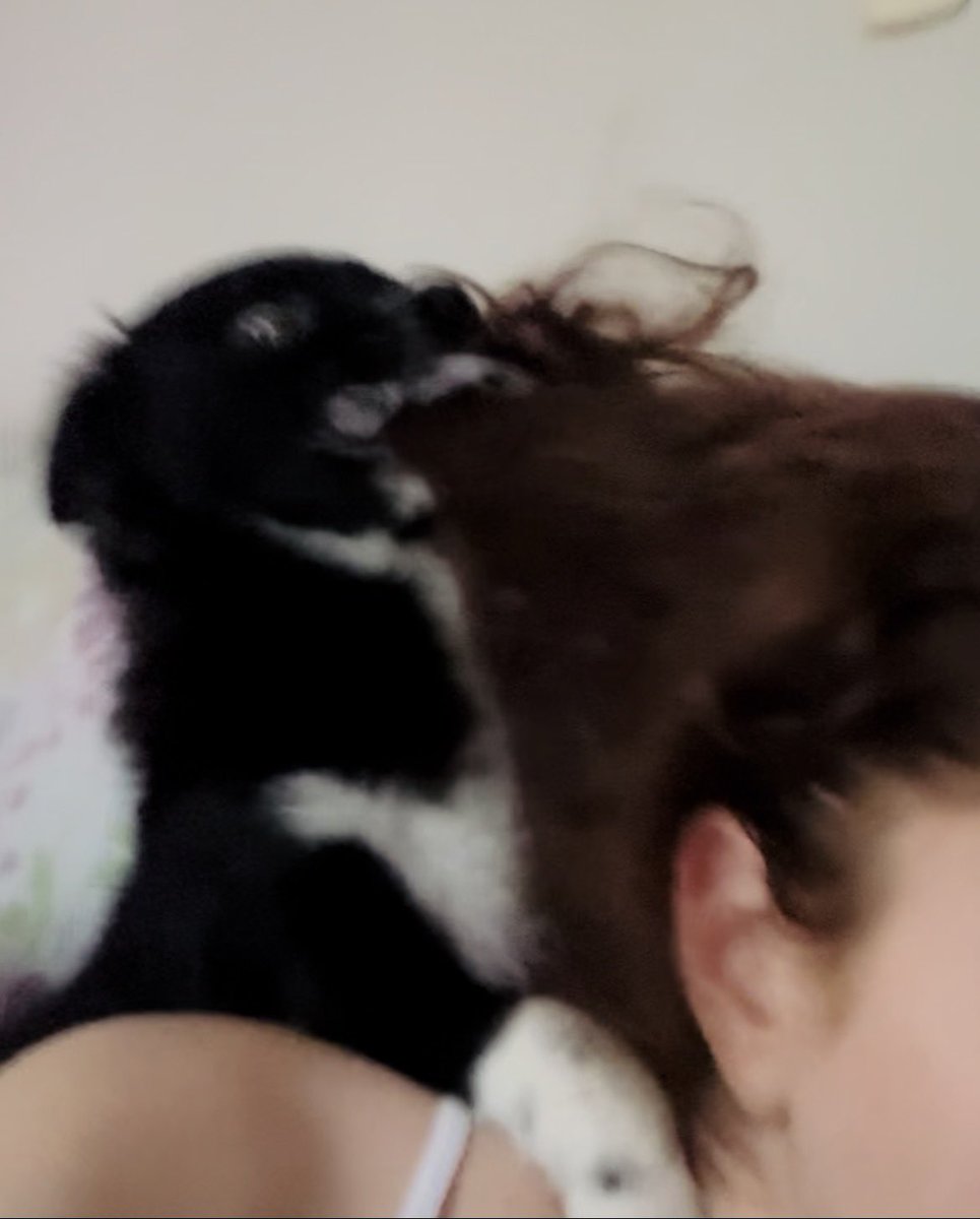 webvjdamtv's tweet photo. ele faz cocô pq tem medo da última vez ele fez na calçada do petshop (ele tem traumas) a gente busca ele no mesmo minuto, jamais deixaríamos ele lá por mais tempo, respeitamos muito o trabalho do petshop pq ela acolheu ele depois de outro lugar não querer mais kkkk https://t.co/zWOGvyFlzP
