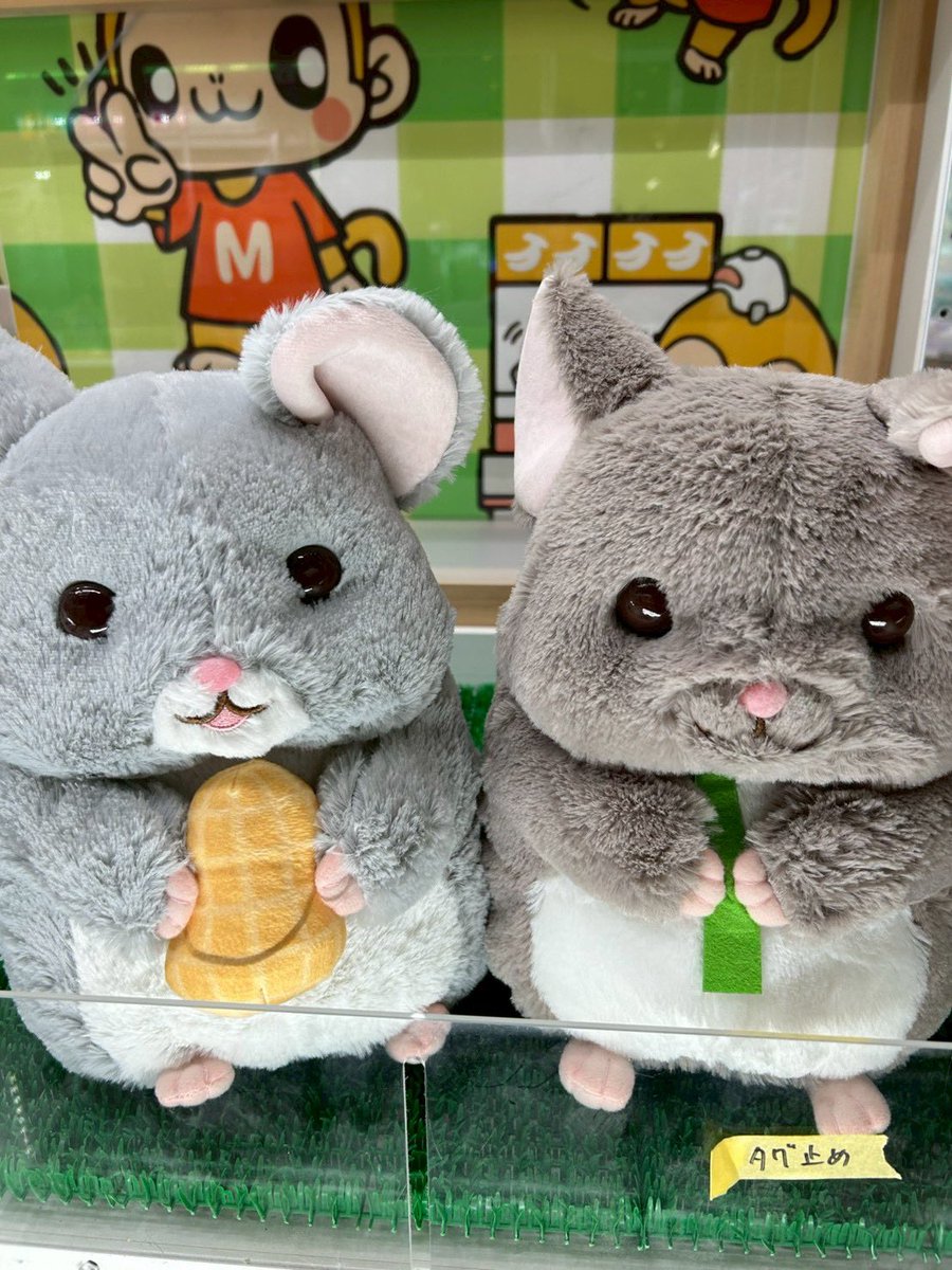 tomisato321's tweet photo. 【もってきーな＋富里店 7月4日新入荷景品】

#サラブレッドコレクション 
等の可愛いぬいぐるみ沢山きましたよー👏👏

#もってきーな
#もってきーな富里店 https://t.co/c8HSNlv1vL