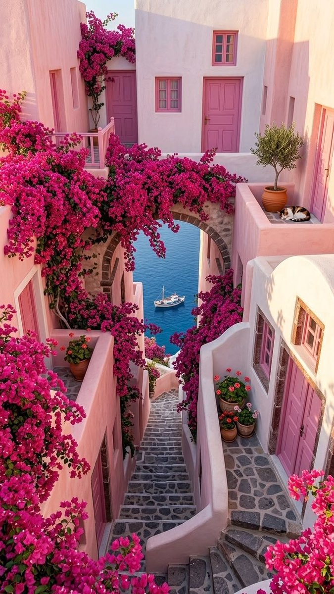 ab_cd_1235's tweet photo. Vibrant Colours of Greece 🇬🇷 https://t.co/B6gdG5rrmd
