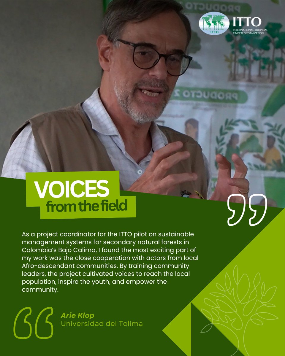 itto_sfm's tweet photo. 🌳🇨🇴 In a new #VoicesFromTheField, @Uni_Tolima Professor Arie Klop shares how an ITTO-supported project in Colombia's Bajo Calima trains the next generation of foresters while advancing sustainable forest management.

📺 Watch for more: https://t.co/lk0MS7gXtl https://t.co/tkYScallS1