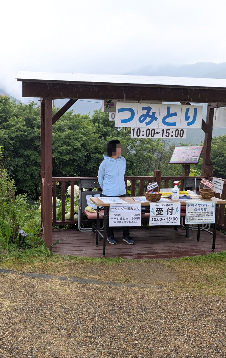 Rust_Monster_'s tweet photo. 生憎のお天気だったが、香りに飲まれるのもまた良き哉。 https://t.co/yqOGbARi4Z