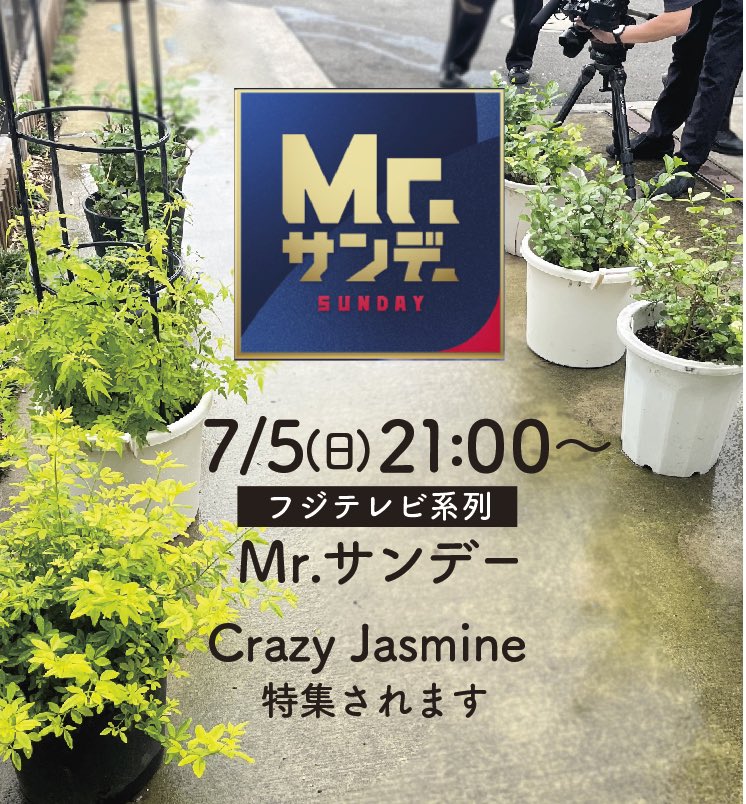 代官山POPUPから1ヶ月に渡り密着取材をして頂きました。 ジャスミンへ