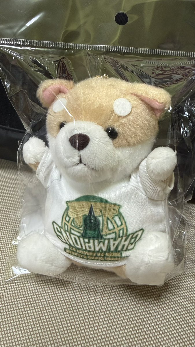 ntpndzz's tweet photo. 待ってww
ユニフォーム逆当選してた😂
ちなかねごん https://t.co/upBgQ2Qent
