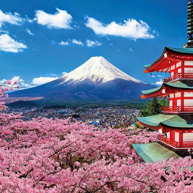 JapanPicsX's tweet photo. Mt. Fuji, Japan 🇯🇵 https://t.co/xbwK3Sz3e9