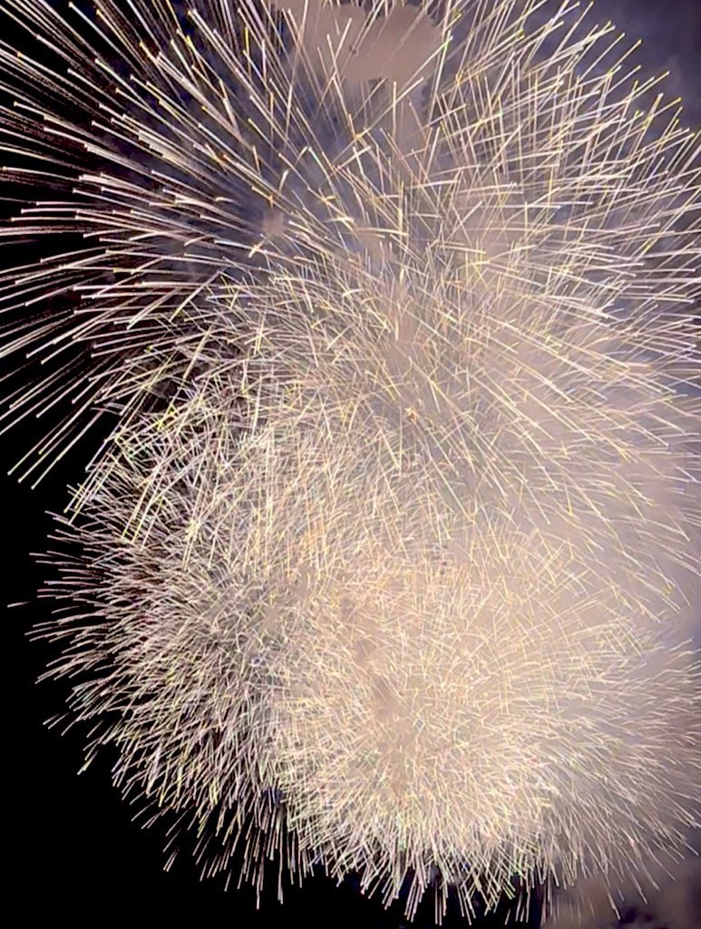 hana870224's tweet photo. 🎆【2026年 関西 花火大会まとめ】🎆
大阪、兵庫、京都の花火大会メモ📝😽
今年はどこの花火大会行こうかな♡

【大阪🐙】
📍7月25日（土）
・天神祭奉納花火
📍7月31日（金）
・SBI舞花火 in 堺大魚夜市
📍8月1日（土）
・桜まつり サマーブロッサムナイト in 狭山池
📍8月8日（土）
・茨木辯天花火大会
📍8月13日（木）～16日（日）
・ハーベストの丘 夏祭り ミニ花火ショー
📍8月22日（土）
・SBI舞花火 in 大阪・泉南
📍8月24日（月）
・CHARLES DESSIN 22周年記念花火大会
📍9月20日（日）
・水都くらわんか花火大会
📍10月4日（日）
・照らせ！ひがよど祭り
📍10月17日（土）
・なにわ淀川花火大会❤️
📍10月31日（土）
・大阪芸術花火
📍11月7日（土）
・猪名川花火大会
━━━━━━━━━━━━━━
【兵庫🐥】
📍7月19日（日）
・浜坂ふるさと夏祭り花火大会
📍7月25日（土）
・香住ふるさとまつり海上花火大会
📍7月30日（木）
・たけの海上花火大会
📍7月30日（木）～8月21日（金）
・城崎温泉夏物語「夢花火」
📍8月1日（土）
・芦屋サマーカーニバル🩵
📍8月2日（日）
・豊岡 柳まつり花火大会
📍9月20日（日）
・姫路みなと祭海上花火大会
━━━━━━━━━━━━━━
【京都🦊】
📍7月26日（日）
・みなと舞鶴ちゃった花火大会
📍8月11日（火）
・福知山HANABI
📍8月16日（日）
・宮津燈籠流し花火大会
亀岡花火大会は今年は開催なし🥹

規模が小さい花火などは省略してます。
去年の淀川花火大会は地獄の豪雨だったな..