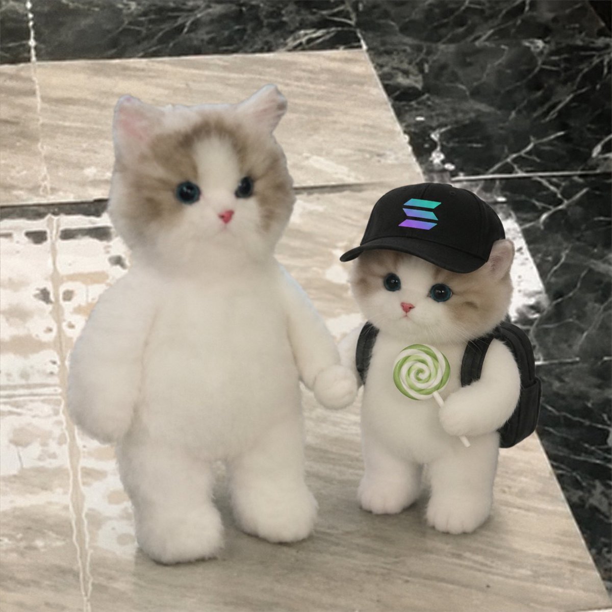 dannyrobintech's tweet photo. $Miu and Baby Miu 
@pumpfun and @solana should notice the future millionaire cat

7LNFZcNigZay5U9e2sq6n2Z4iM8BC2Dd53L14pwvpump https://t.co/kSxsRkhZfB