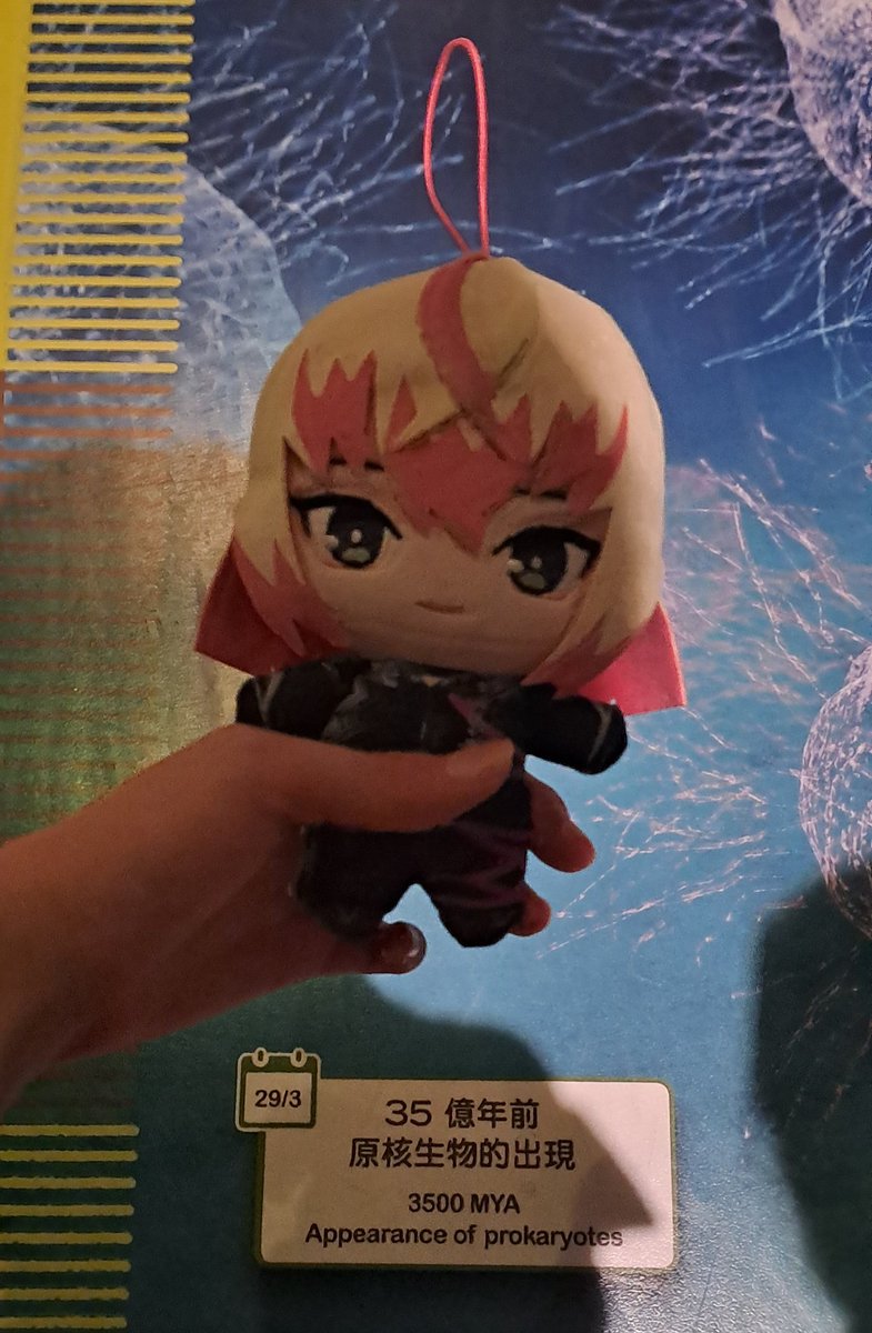 mayoispigeon's tweet photo. https://t.co/XqaoQSOJ6D