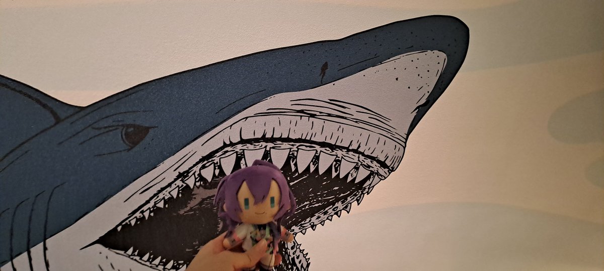 mayoispigeon's tweet photo. https://t.co/XqaoQSOJ6D