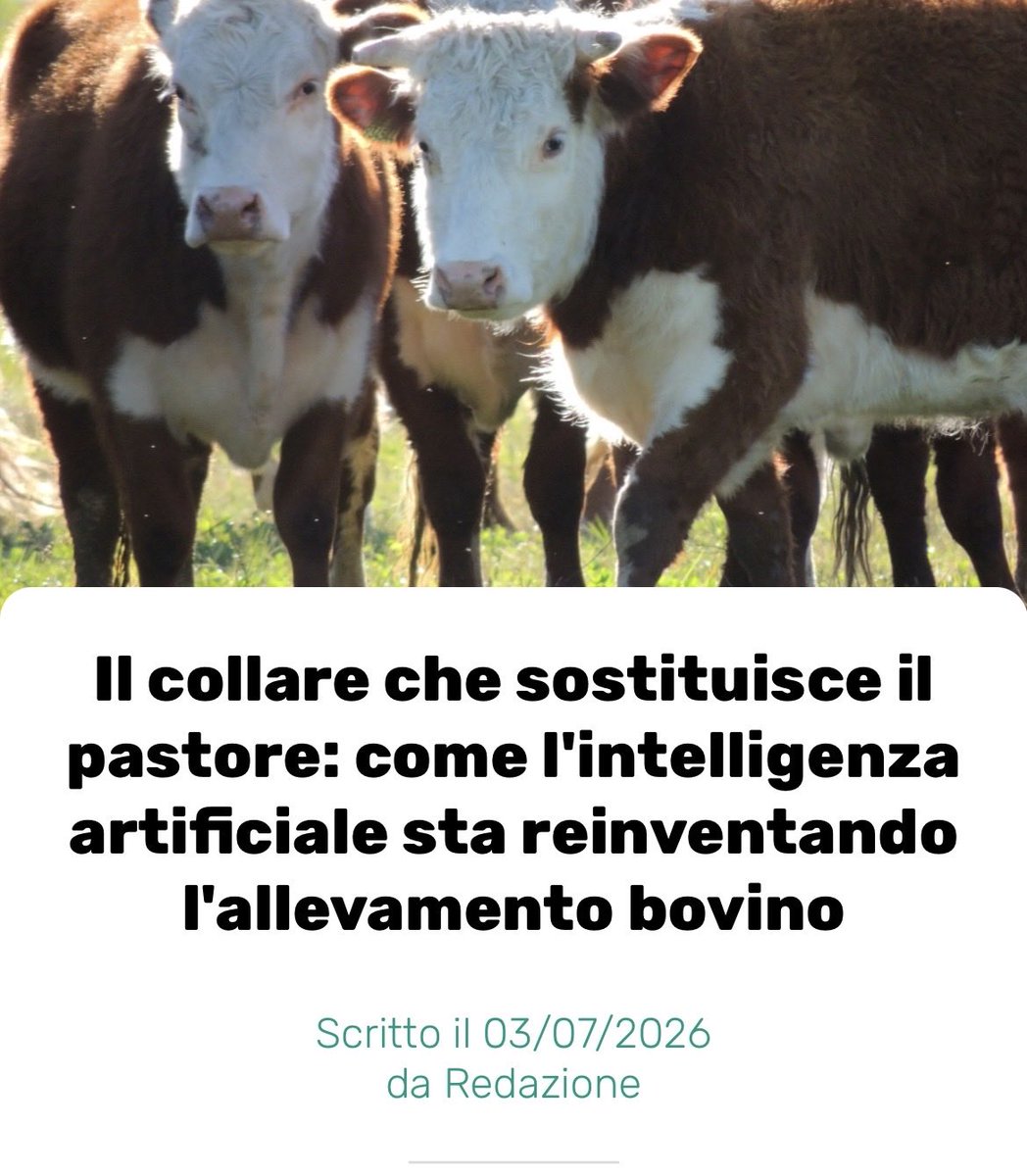 fogna_la's tweet photo. E vedrete che bello quando, sistemati i bovini, passeranno agli umani!
Un bel #collare a energia solare per controllare le emozioni e impedire domande inopportune: pare che #VonderLeyen sia entusiasta 😎 https://t.co/9TH6DHt6fN