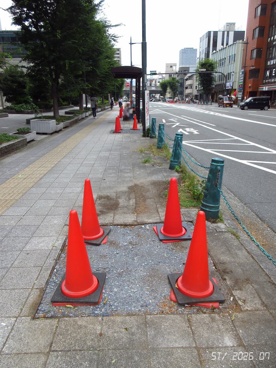 actazki's tweet photo. 高槻市役所前、けやき通りの伐採
6月28日→7月4日
ムクドリに影響あるだろうか？（個体数が減ってくれないことには…） https://t.co/2L64rLTGfG