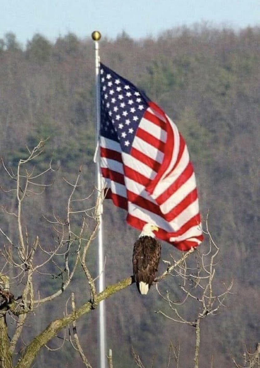Najibnaik's tweet photo. Happy 250th America. You are a perfect idea. The United States of America, is work in progress. https://t.co/pc59GNpbhV