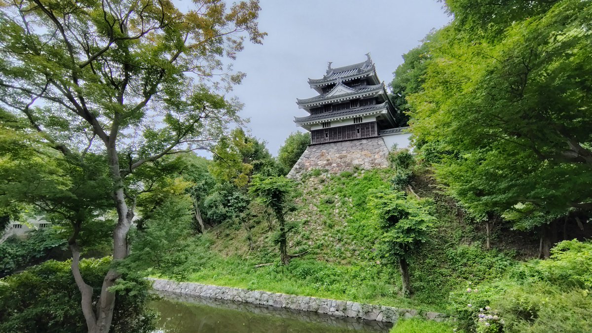 this_is_k_o_'s tweet photo. 一人旅より帰国
城活→推し活→城活→…→城活で充実した休みでした
今回の一推城は↓、抹茶も美味かった https://t.co/i5etp8Oifo