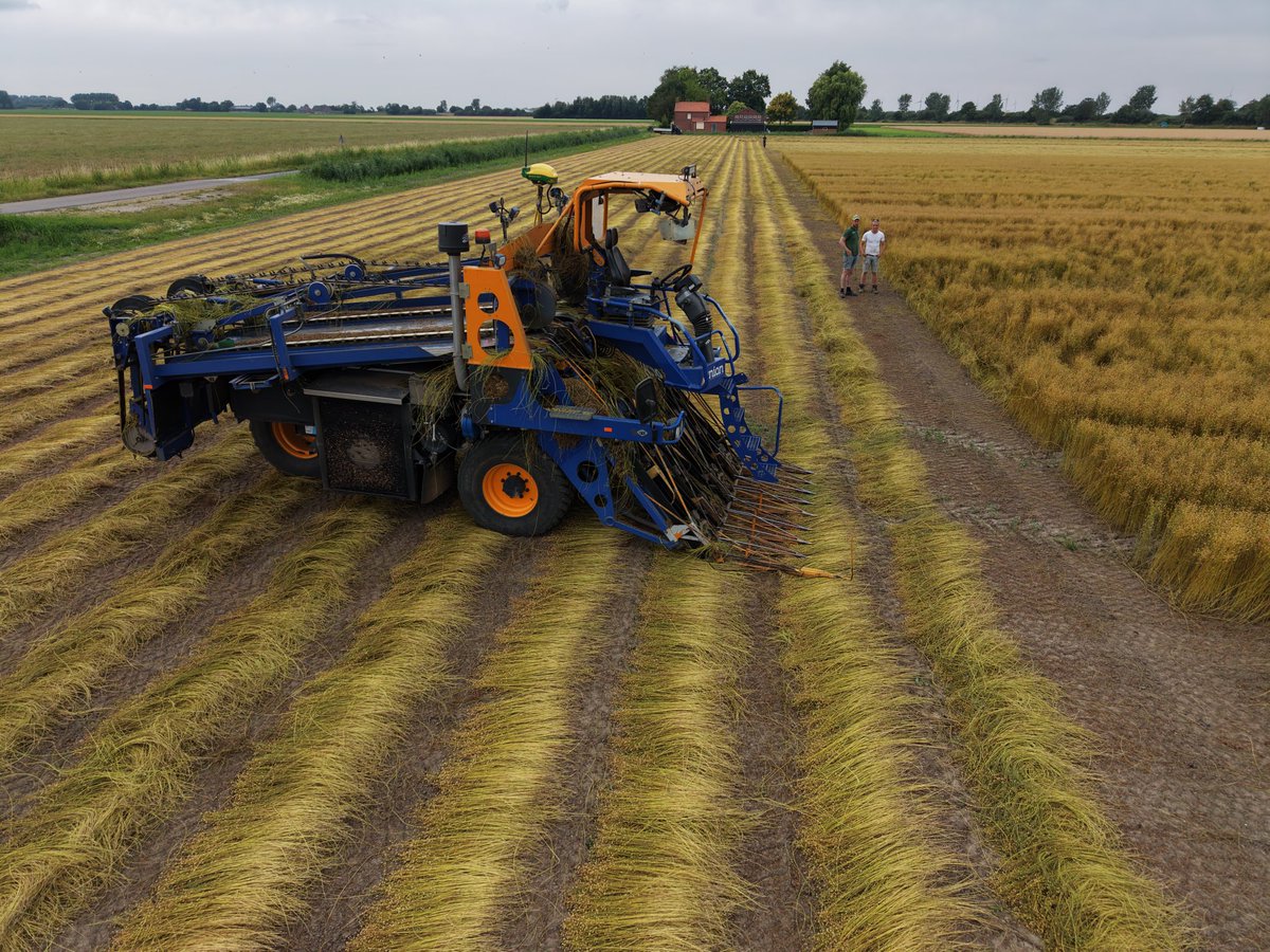 Vario820's tweet photo. Vlas oogst 2026 #akker #agrifoto https://t.co/iX1HsJo0U0