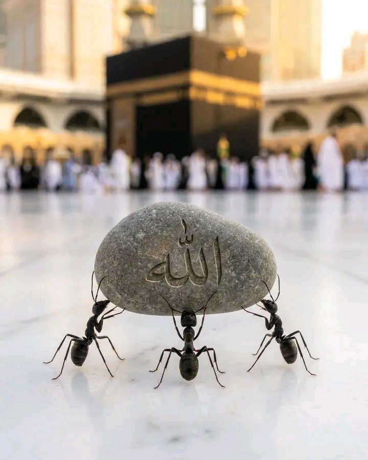 Onsi41's tweet photo. Allah's power is above every power.✊🙏 https://t.co/EWfcxhfKa5