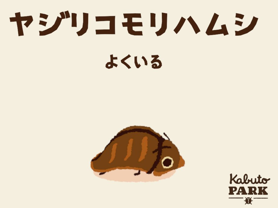 Ohana Riku on X: 