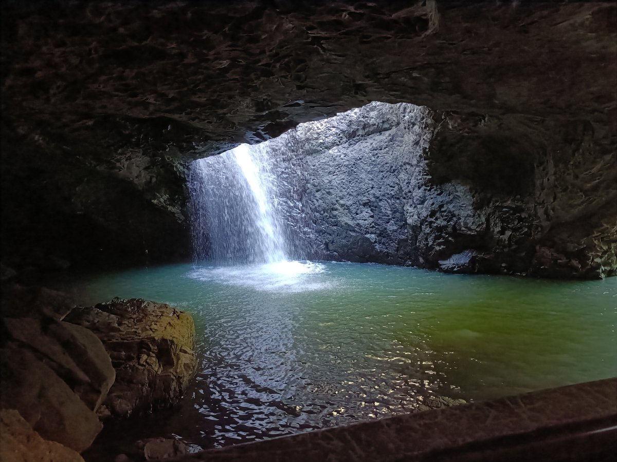 iamokKQ's tweet photo. Gold coast
#Springbrook national park🇦🇺 https://t.co/sMHGfZmby5