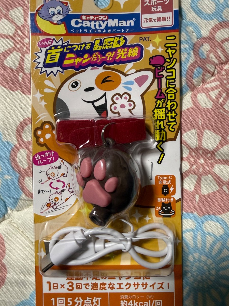 📌𝕏コミュニティ𓃠猫၈集会場𓃠今日のニャンコ🐱