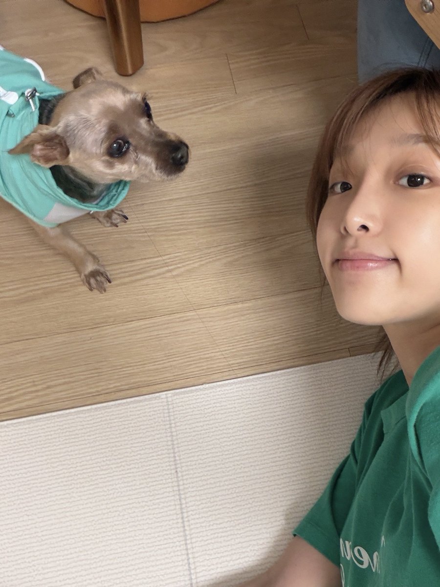 yenppoppi's tweet photo. 260704 🐣💬 [08:11 PM KST] https://t.co/D8w9H9jnOp