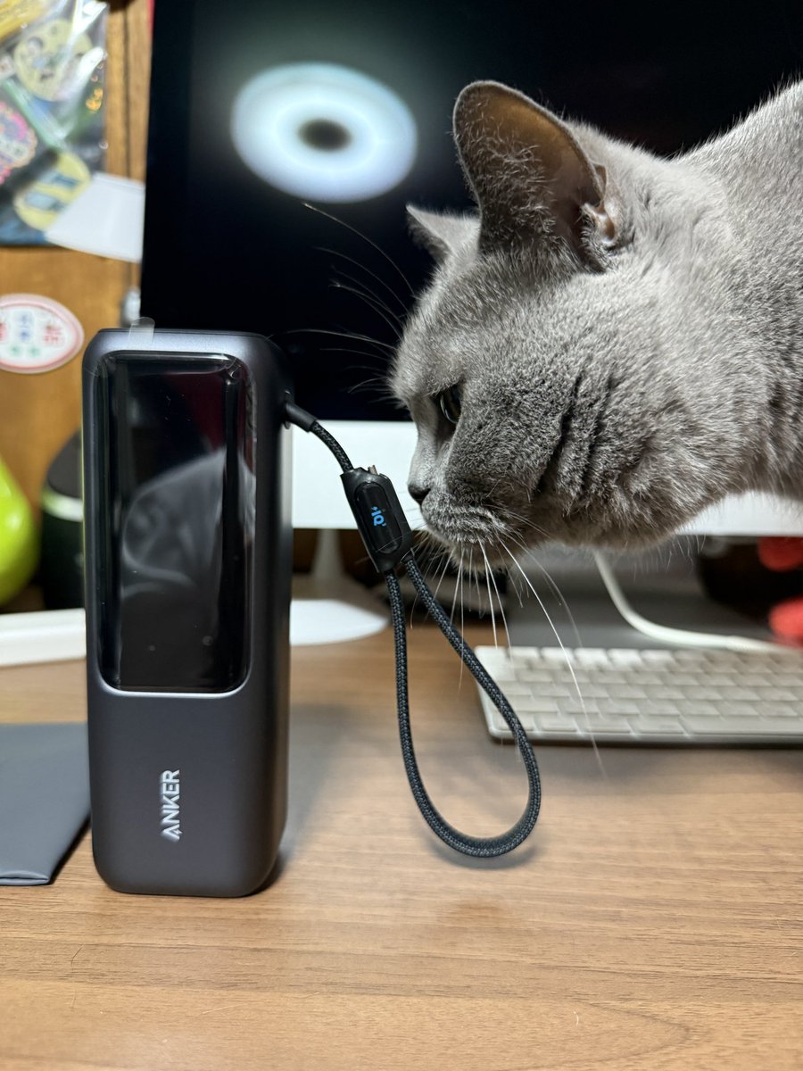 Youbit_PR's tweet photo. にゃんだこれは https://t.co/6Zk1A09D4j