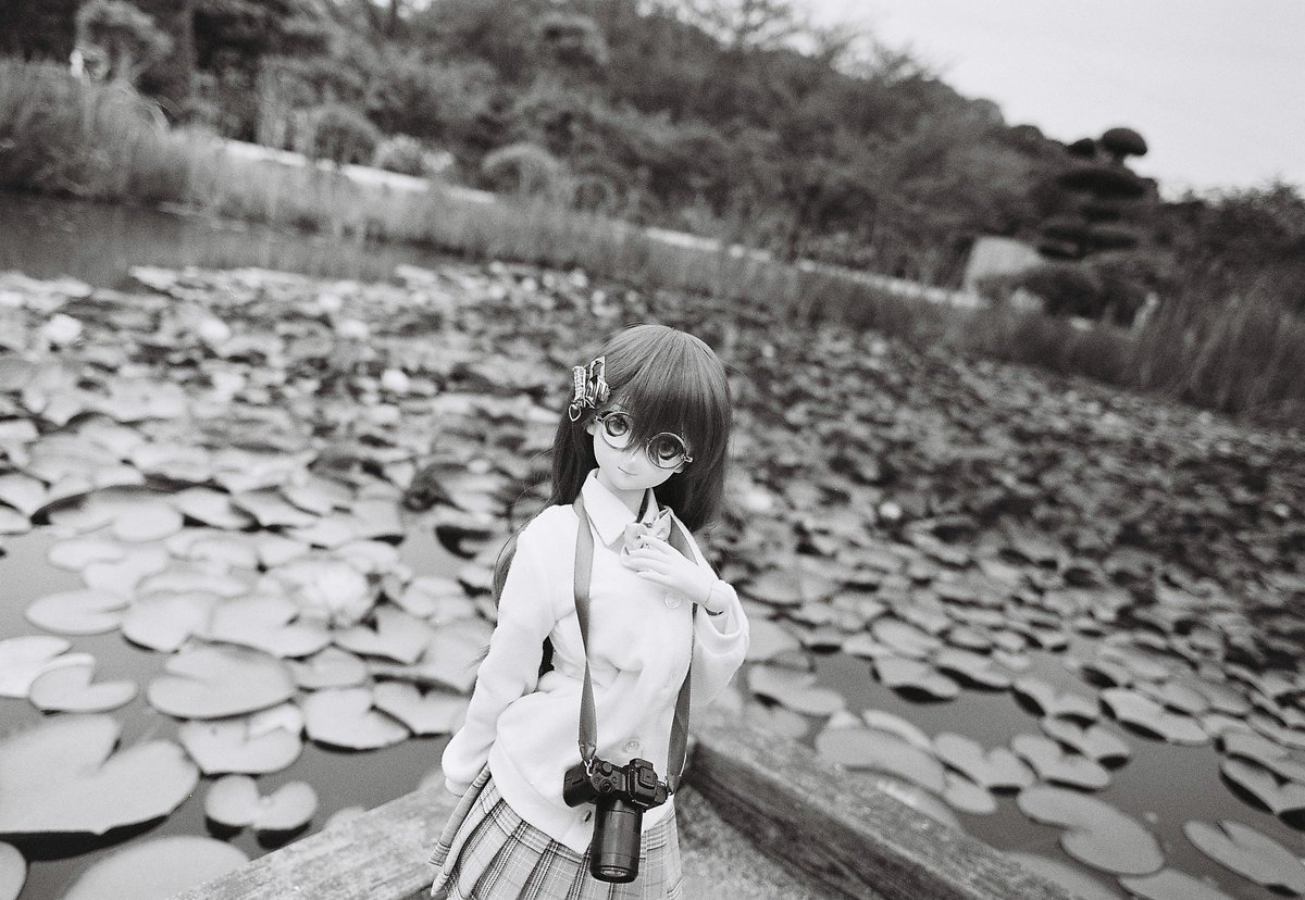 mayuri041's tweet photo. 6月14日｜蓮の浮かぶ池

📍岡山県倉敷市：種松山公園
📷Canon FTb + NewFD24mm F2.8
🎞ILFORD XP2 Super 400 https://t.co/nNHk2gSfjn