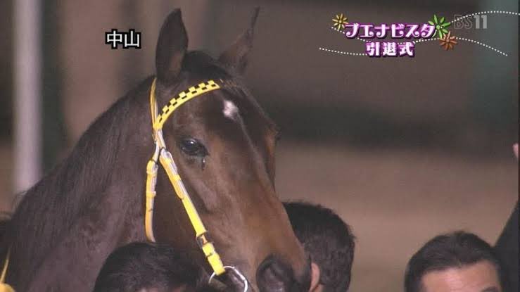 fumi_yutaka0514's tweet photo. 競馬界No.1美形のブエナビスタの引退式で見せた涙ですね。 https://t.co/OW3aTcN0Fz