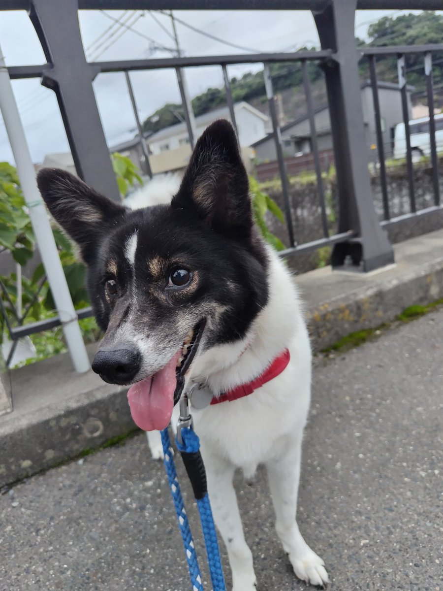 PSK-Nagasaki (@PSKnagasakiGK) / Posts / X
