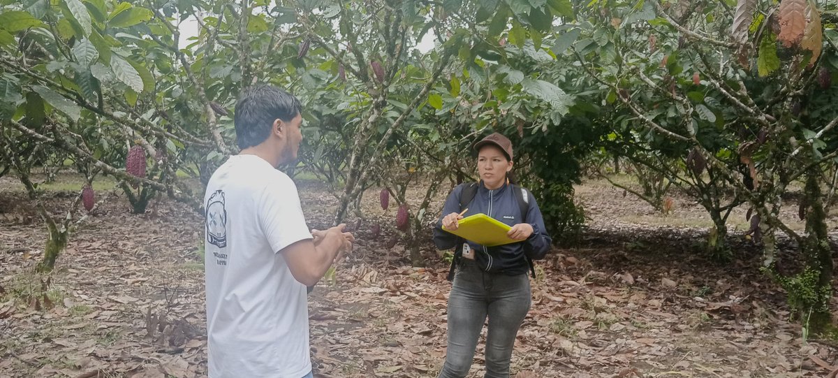 JavierAgronomo's tweet photo. 🚜 Práctica de Campo – Introducción a las Ciencias Agrícolas Valle del Guamuez, Putumayo
 3 de junio de 2026
Los estudiantes del curso Introducción a las Ciencias Agrícolas @UNAD_ZonaSur https://t.co/m1HKEv8a8o