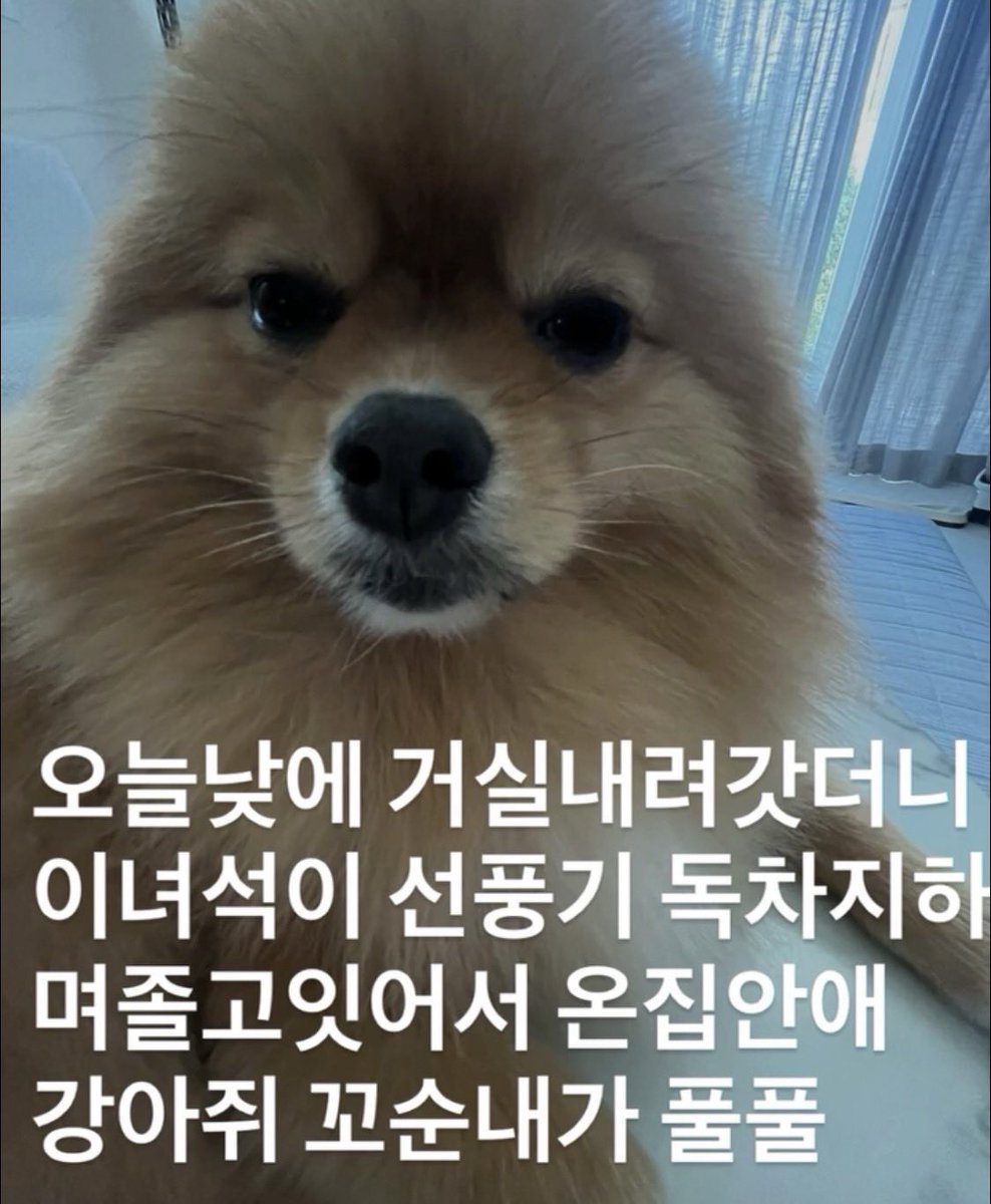 소노자키예원 tweet media